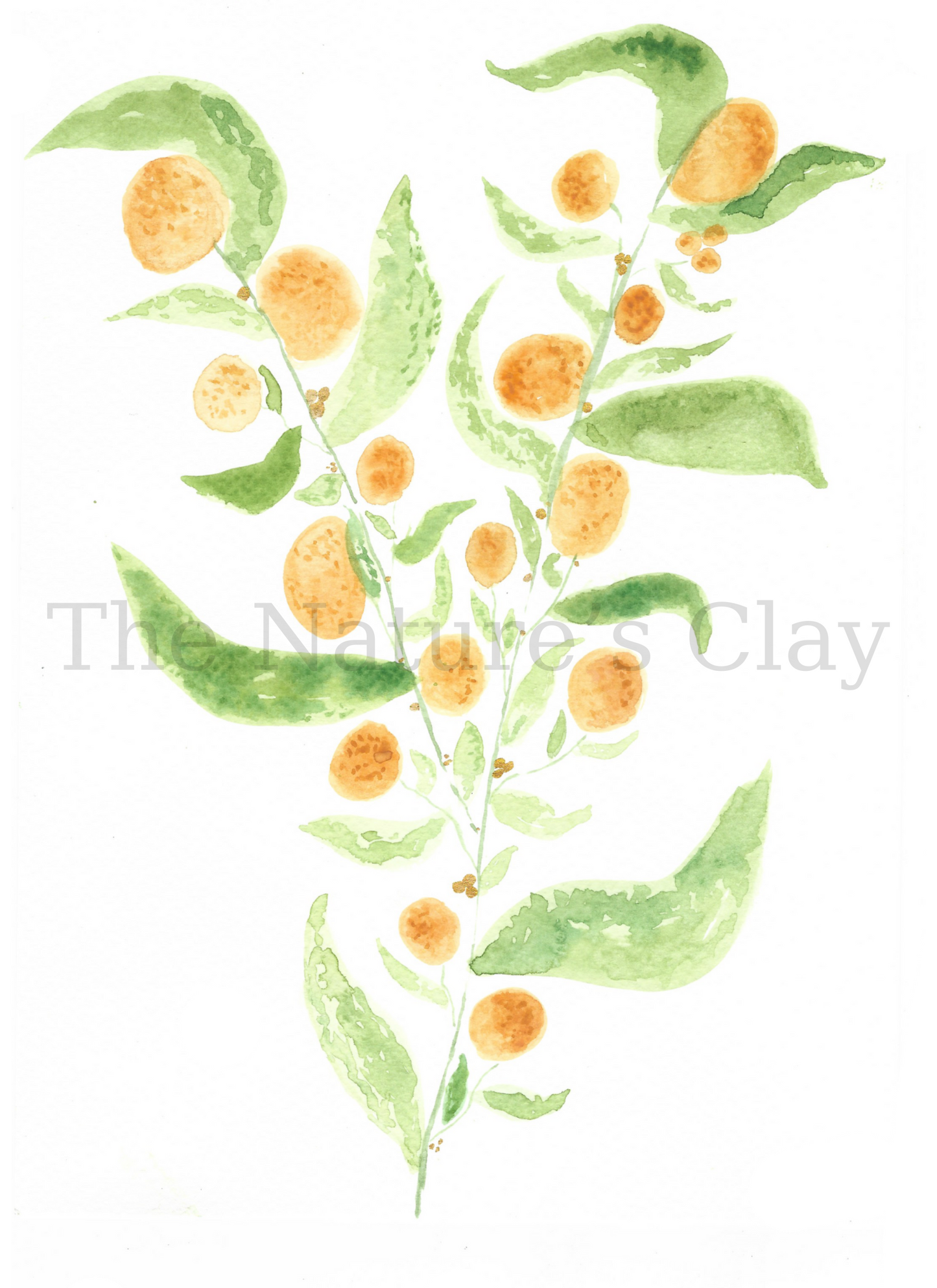 Orange Tree Print
