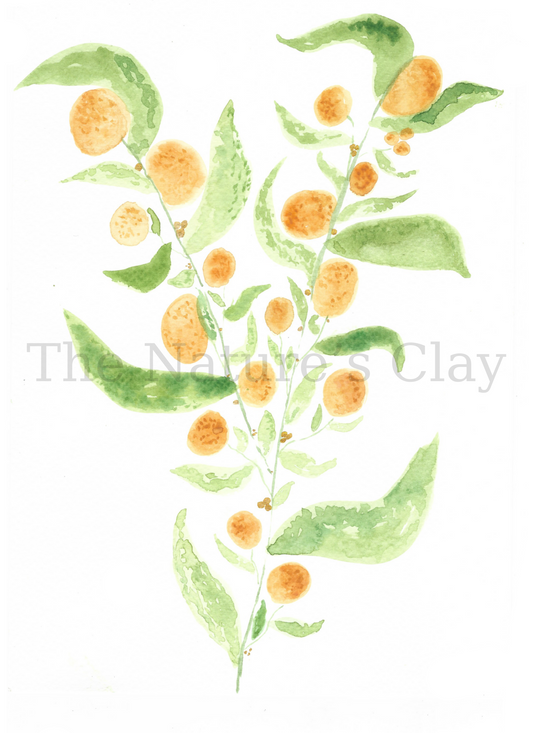 Orange Tree Print