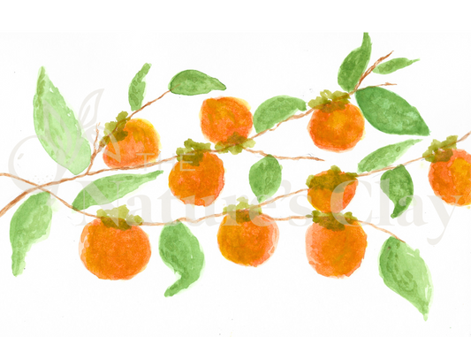 Persimmon print