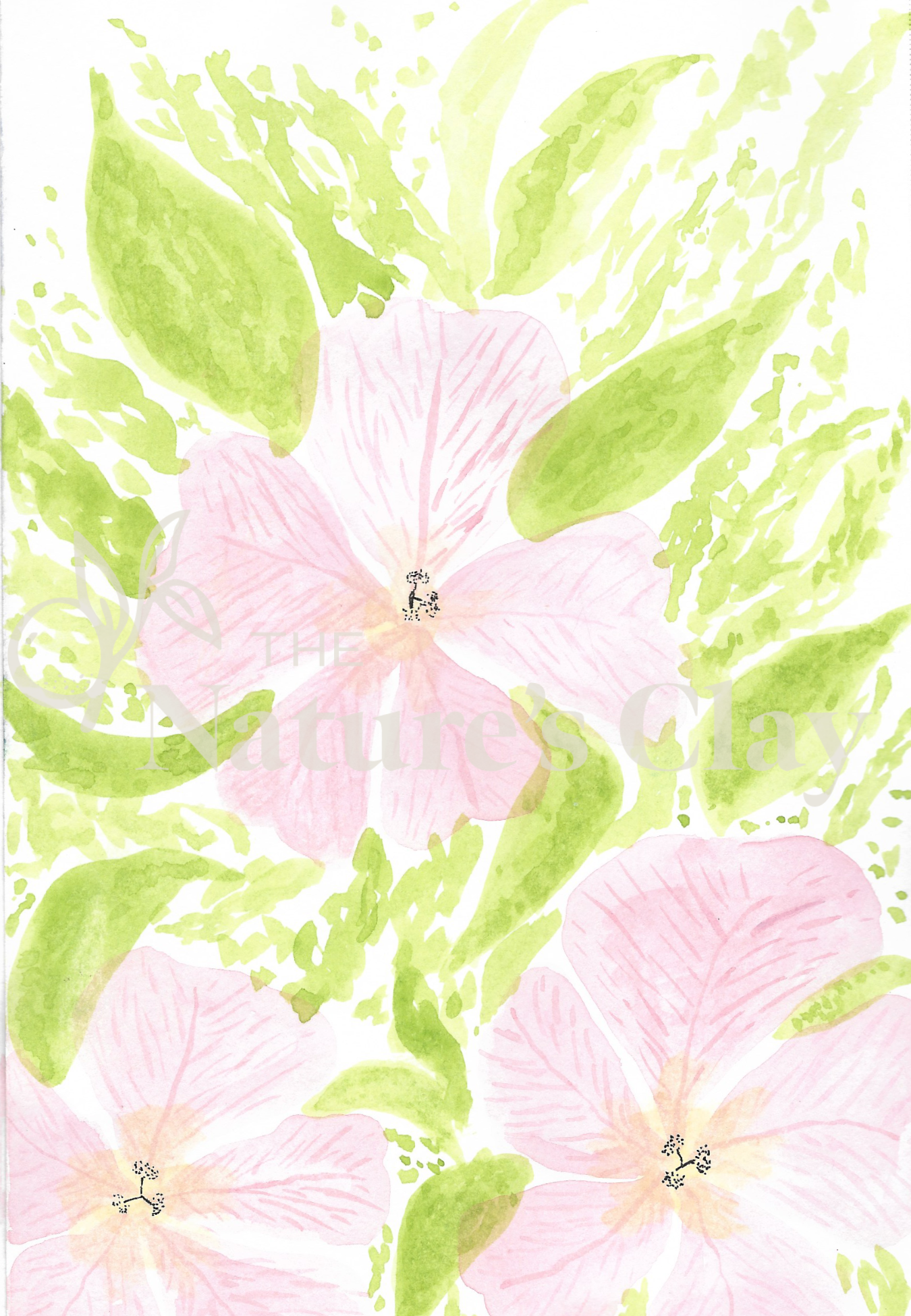 Evening Primrose Print