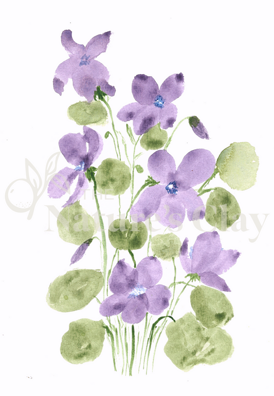 Wild Violet Print